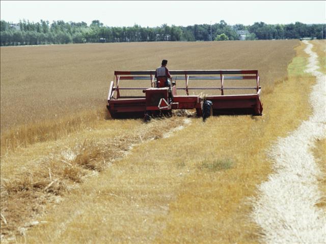Agri podcast: 'Mentorship by commercial farmers essential' | News Article