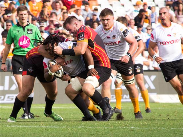 Free State will have a very big say in who plays internationally - Roux | News Article