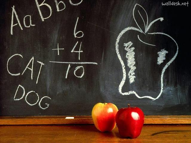 Only Grade R, 6 and 11 will return on Monday | News Article