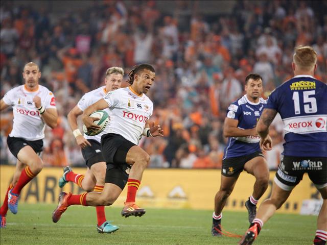 Cheetahs happy to host rugby bio-bubble | News Article