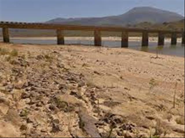 Wat sê die landbou-ekonoom, Kobus Laubscher? | News Article