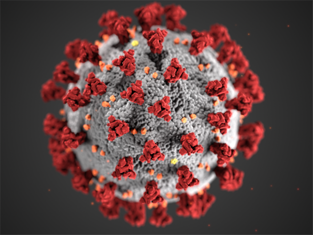 #CoronavirusSA: Infections at 408 052 | News Article