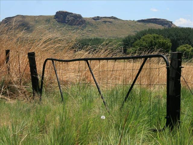 SA in 'n 'skeefloopsituasie' weens misdaad, swak ekonomie - TLU SA | News Article