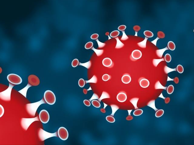 #Coronavirus: 16 million infections worldwide  | News Article