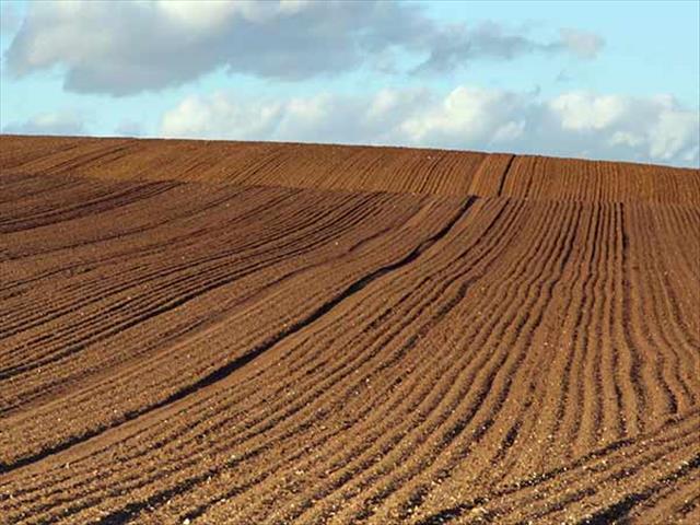 Landbounuus-podcast: ‘Grondbodem uiters belangrik vir voortgesette produksie’ | News Article