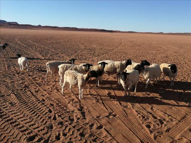 Regering gee nie om vir grondbodem se bewaring - #AgriNK  | News Article
