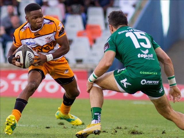 Former Bok captain backs the Cheetahs, Kings | News Article