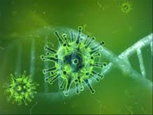 SA scientists examine weather's role in spread of #coronavirus | News Article