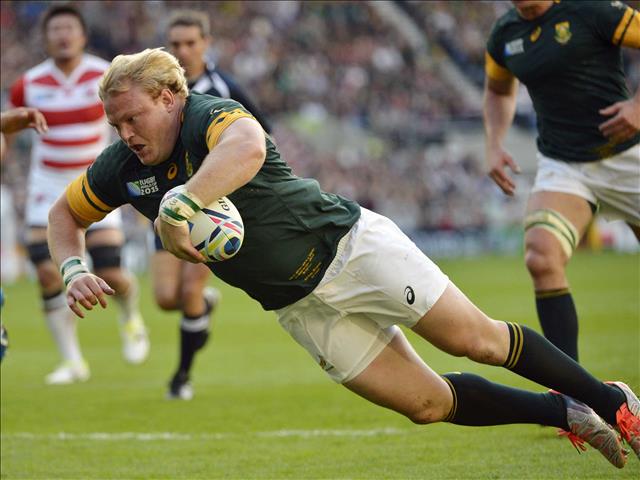 You can't keep a good man down - Strauss | News Article