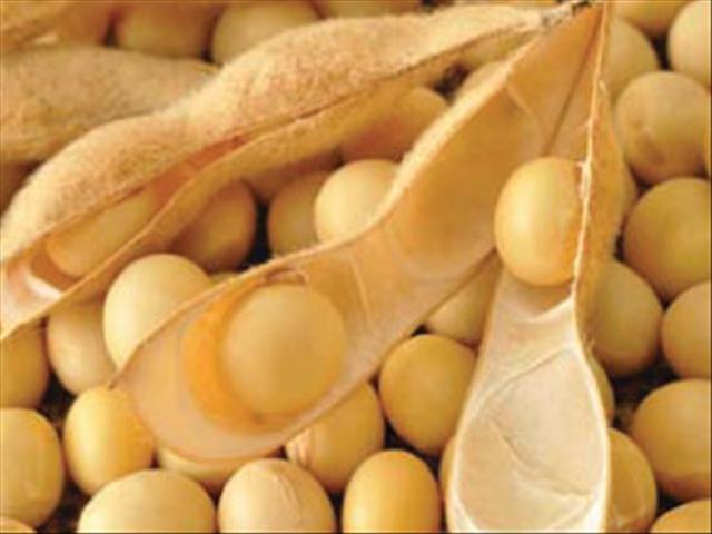 Agri-Uur: Jongste Safex-nuus | News Article