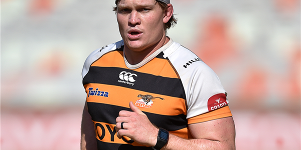 Chucky feeling more settled at the Cheetahs | News Article