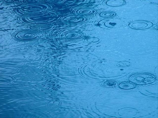  Droogtegebiede in NK kan later vandeesweek reën verwag | News Article