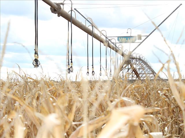 Landbounuus-podcast: Vooruitsigte vir toestande in SA steeds goed | News Article