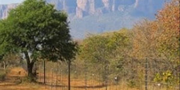 #VrystaatLandbou: Wat behels noodweer of selfverdediging in aanvalle? #VrystaatLandbou: Wat behels noodweer of selfverdediging in aanvalle? | News Article