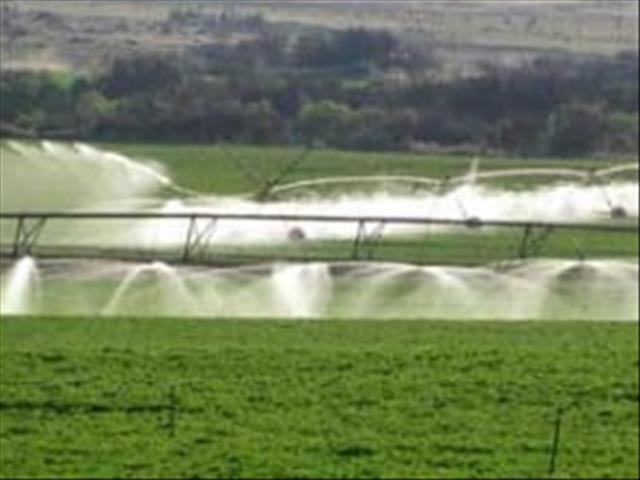 #AgriSA: Verlof tot appèl gevra teen waterregte-hofbeslissing | News Article