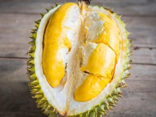 AtLunchOFM - Have you heard of the smelliest fruit on Earth?? | News Article