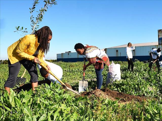 Business Eye - Agricultural Sector GDP Expanded by 24% | News Article