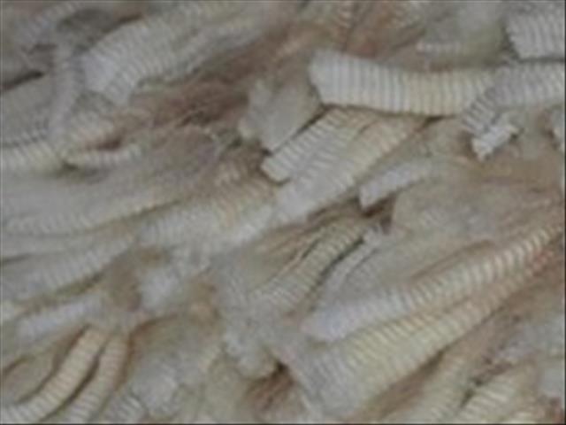 Cape Wools wolmarkverslag:  SA wolseisoen sluit op goeie noot af | News Article