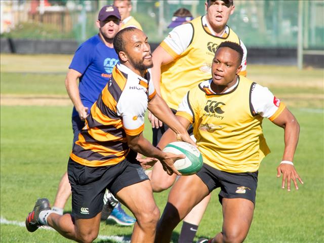 Cheetahs to focus on attack and defence detail | News Article
