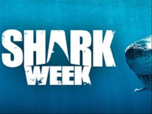 Weird Wide Web - SHARK WEEK is here | News Article