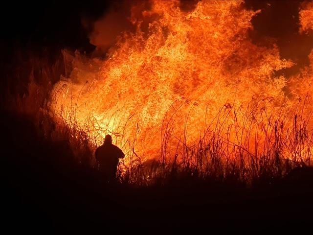 Landbounuus-podcast: Boere in Potchefstroom loop deur onder veldbrande | News Article