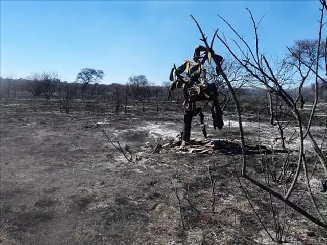 Landbounuus-podcast: Brande rig groot skade in NW aan | News Article