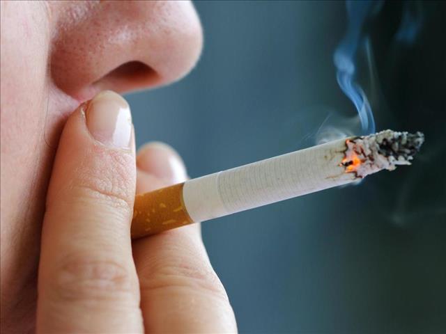 Business Eye - FITA to appeal High Court ruling | News Article