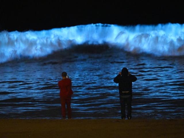 Light-producing plankton causing glowing waves! | OFM