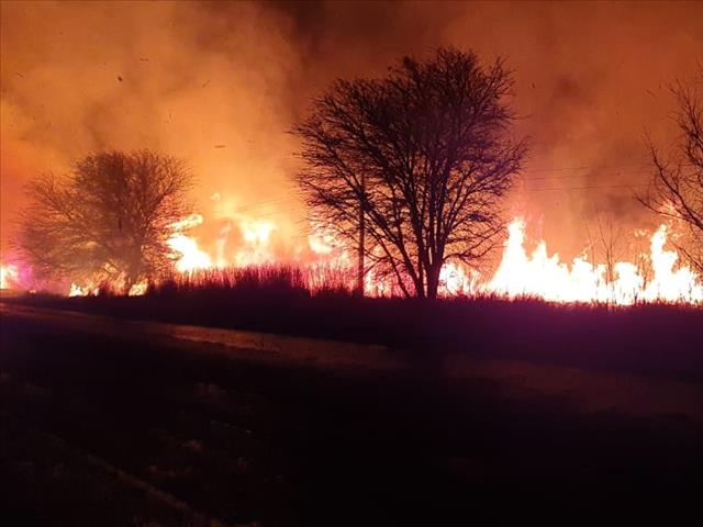 Slaan ag op brandgevaartoestande, vra brandbestryders | News Article