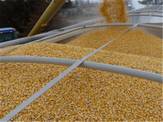 Agri-Uur: Jongste Safex-nuus | News Article