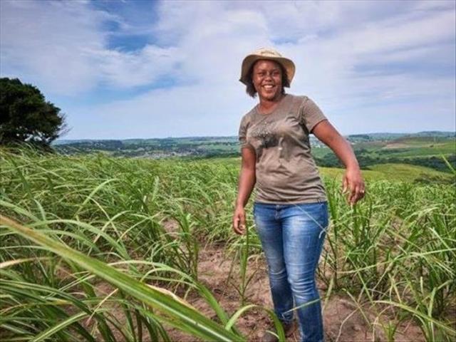 #WomensMonth: Dedicated female sugar farmer goes all the way | News Article