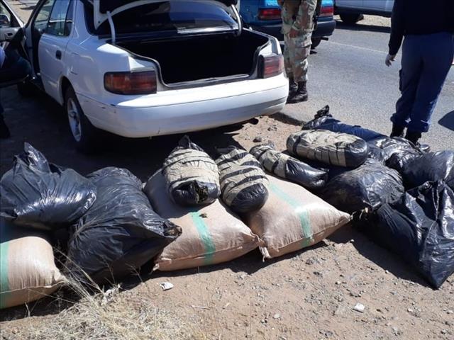 Suspect in court after major drug bust | News Article
