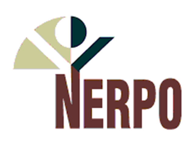#Covid19 vouchers: #NERPO insists on urgent intervention | News Article