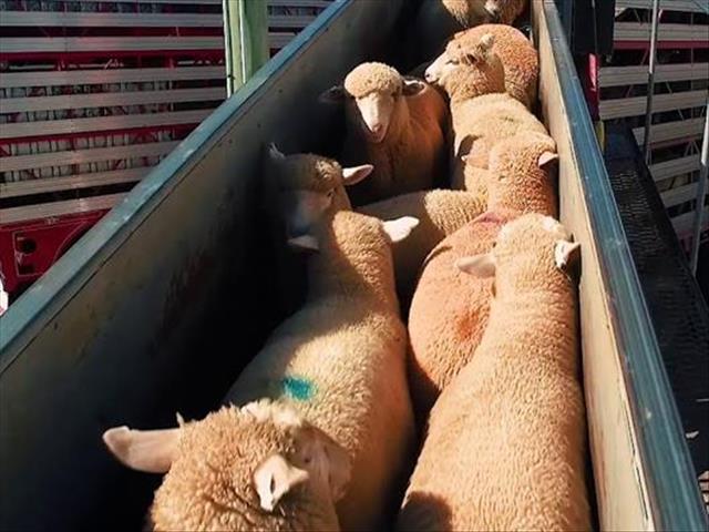   Hier is van jou hoof-landboustories op OFM | News Article