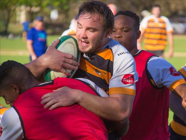 Contact training expected from Monday | News Article