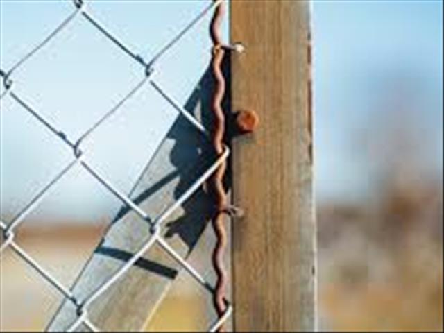  #AgriSA: Instelling van reservistestelsel geniet nodige dringendheid | News Article
