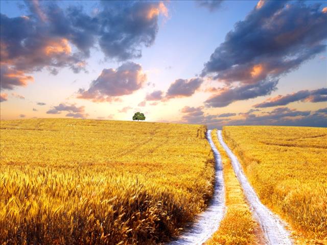 Landbounuus-podcast: Agri SA verwelkom reservistestelsel | News Article