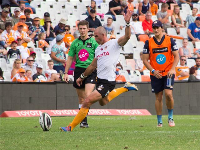 Cheetahs confirm interest in hosting bio-bubble | News Article