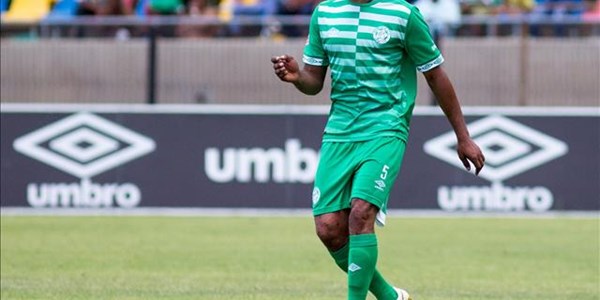Celtic opt for continuity going forward Celtic opt for continuity going forward | News Article