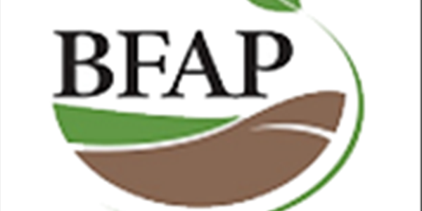 #NAMPO2020: BFAP het program om produksiestelsels te vergelyk #NAMPO2020: BFAP het program om produksiestelsels te vergelyk | News Article
