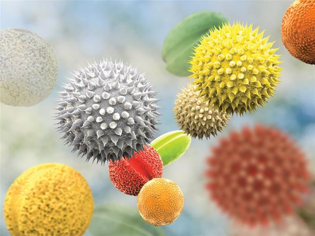 Your Pollen Report for 11 - 17 September 2020  | News Article