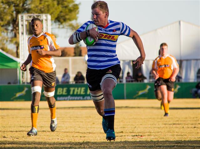 Star loose delighted to be in training with the Cheetahs | News Article
