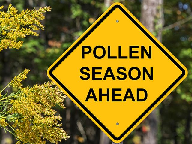 Spring Day is also the start of the pollen season | News Article