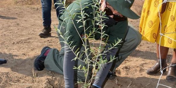 Indigenous trees planted in the NC in celebration of Arbor Month Indigenous trees planted in the NC in celebration of Arbor Month | News Article