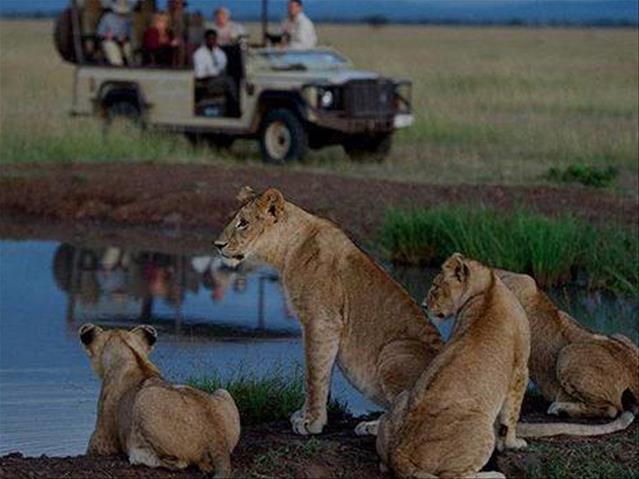 Tourism industry slowly recovering  | News Article