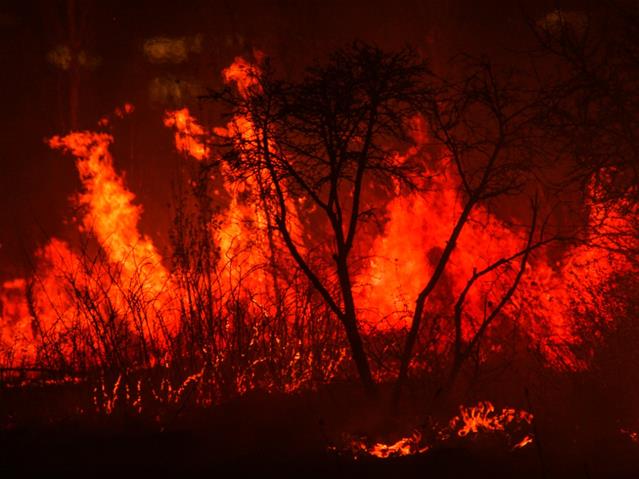 Northridge fire extinguished | News Article