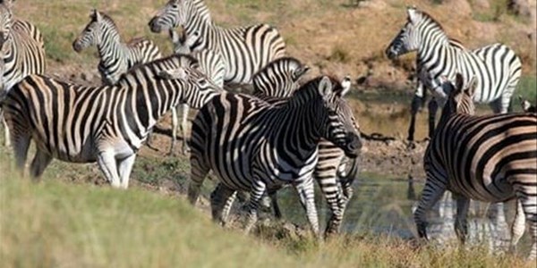 Free State tourism optimistic Free State tourism optimistic | News Article