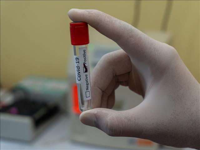 #CoronavirusSA: Fewer than 2,000 new cases | News Article