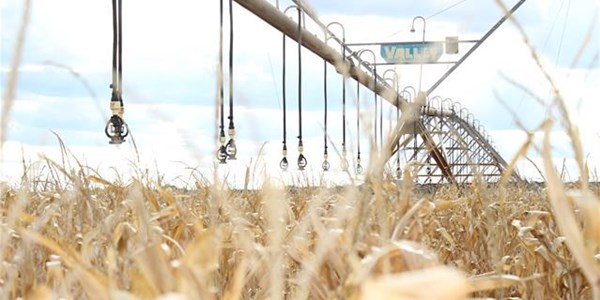 Agri-Uur: Jongste Safex-nuus Agri-Uur: Jongste Safex-nuus | News Article