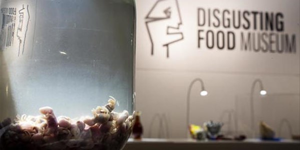 Weird Wide Web - Disgusting Food Museum  | News Article